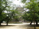 img0005.jpg