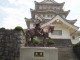 img0007.jpg
