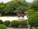 img0008.jpg