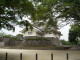img0012.jpg
