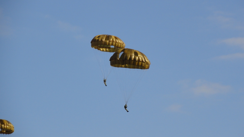 img0081.jpg
