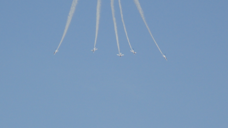 img0118.jpg