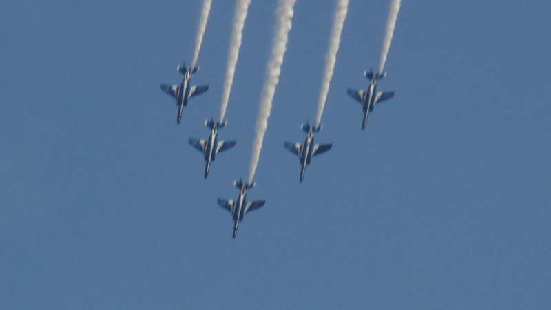 img0131.jpg