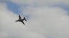 img0033.jpg