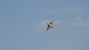 img0067.jpg