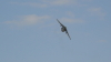 img0070.jpg