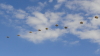 img0077.jpg