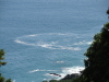img0028.jpg