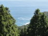 img0029.jpg