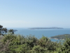 img0074.jpg