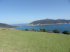 img0081.jpg