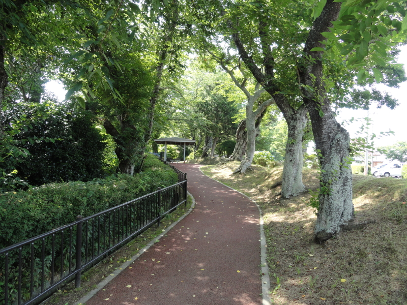 img0009.jpg