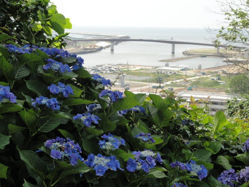img0051.jpg