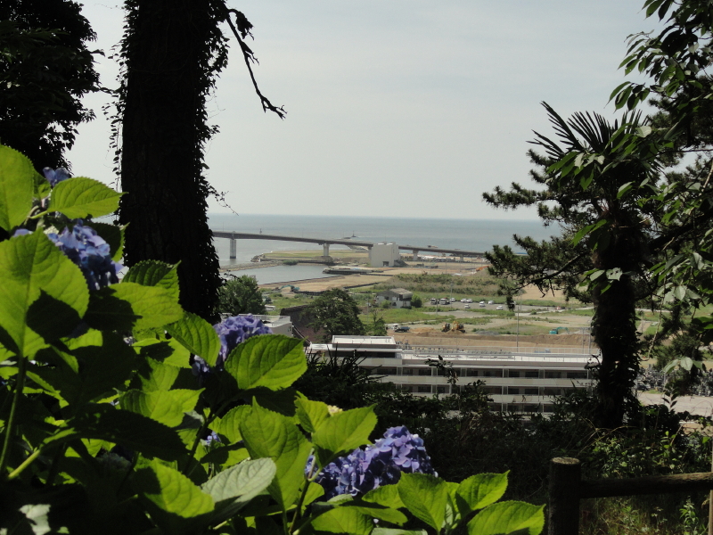 img0065.jpg