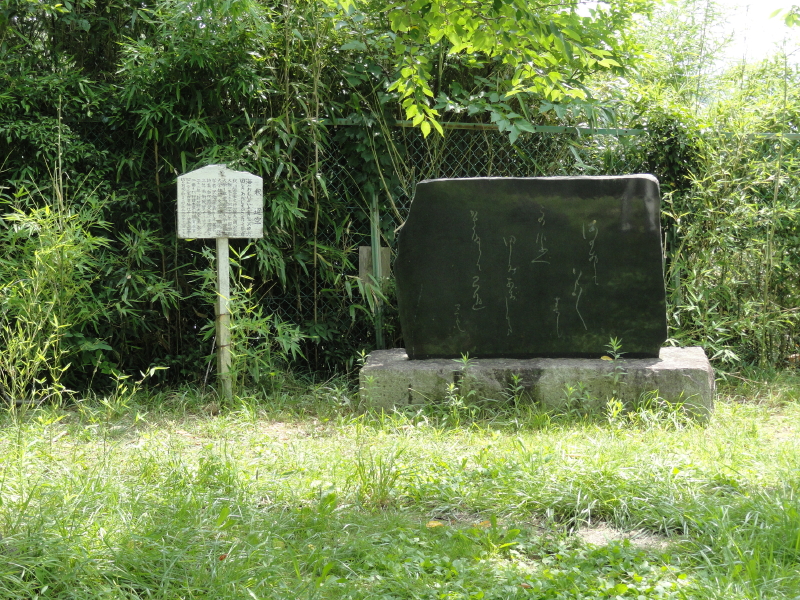 img0096.jpg