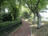 img0009.jpg