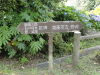 img0049.jpg