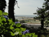 img0065.jpg