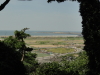 img0068.jpg