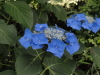 img0075.jpg
