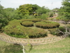 img0080.jpg