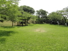 img0108.jpg