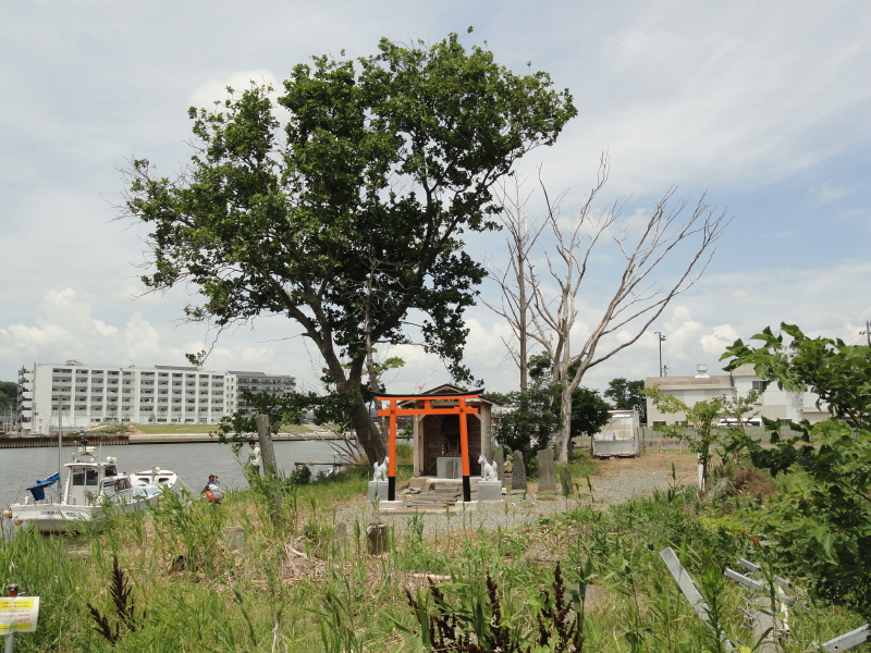 img0041.jpg