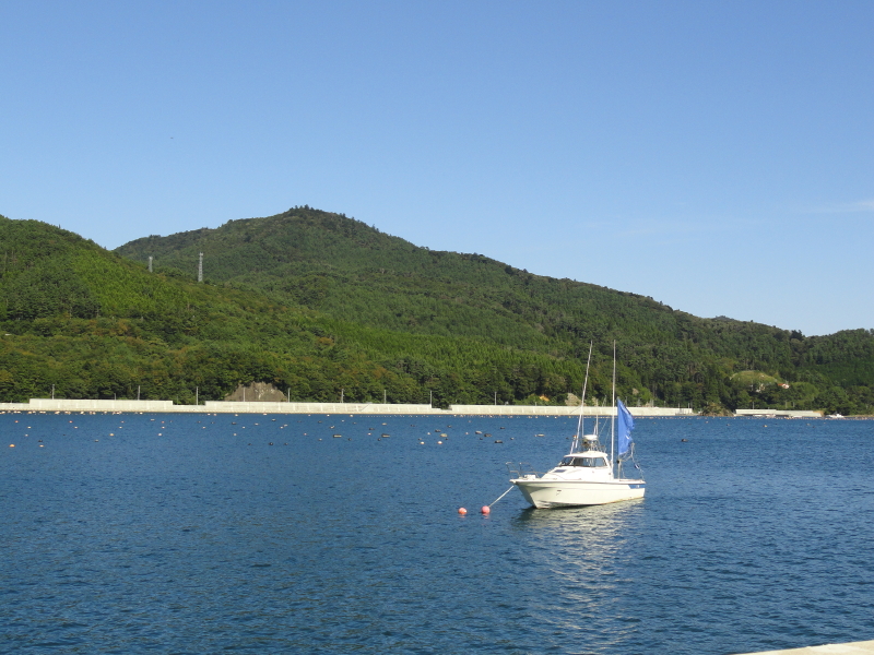 img0009.jpg