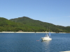 img0009.jpg
