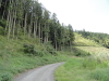 img0043.jpg