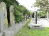 img0062.jpg