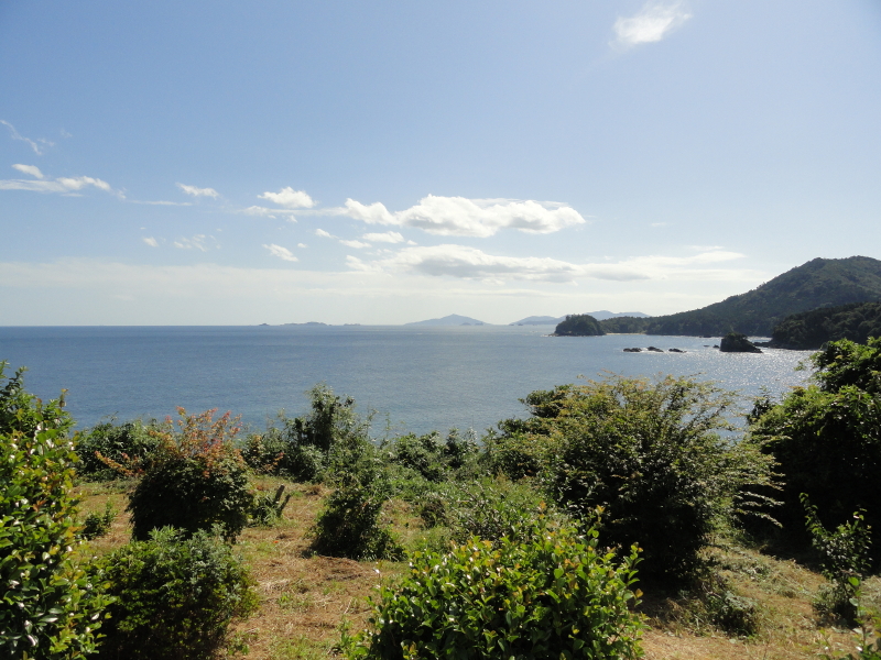 img0020.jpg