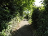 img0004.jpg