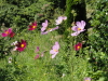 img0030.jpg