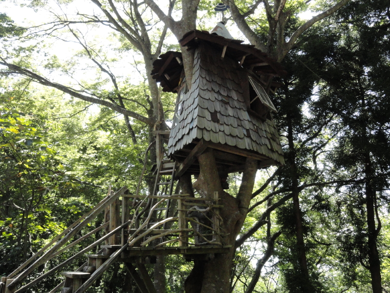img0011.jpg