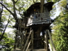 img0006.jpg