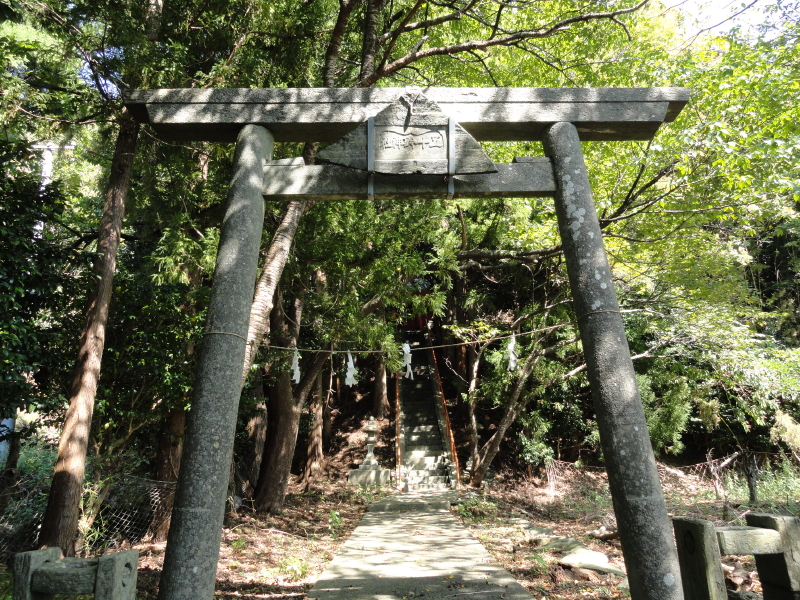 img0025.jpg