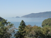 img0009.jpg