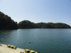 img0020.jpg