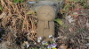 img0017.jpg