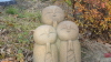 img0019.jpg