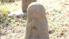 img0021.jpg