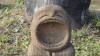img0027.jpg