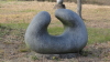 img0051.jpg