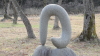 img0054.jpg