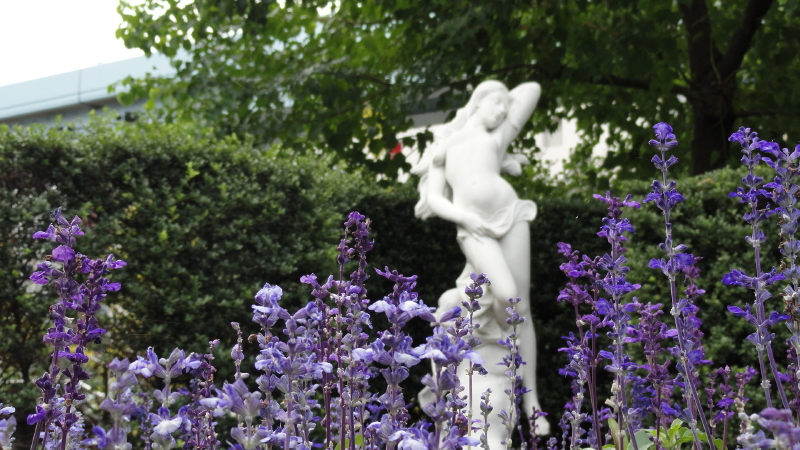 img0014.jpg