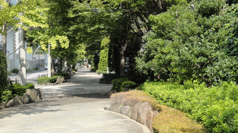 img0036.jpg