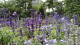 img0003.jpg