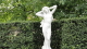 img0011.jpg