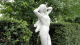 img0013.jpg